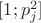 $[1;p_j^2]$
