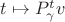 $t\mapsto P_\gamma^tv$