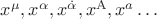 $x^\mu,x^\alpha,x^{\dot{\alpha}},x^\mathrm{A},x^a\ldots$
