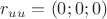 $r_{uu} = (0;0;0)$