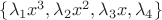 $\lbrace\lambda_1x^3,\lambda_2x^2, \lambda_3x, \lambda_4 \rbrace$