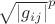 ${\sqrt{\left\lvert g_{ij} \right\rvert}}^p$ ${\sqrt{\left\lvert g_{ij} \right\rvert}}^p$