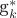 {g_{k}^{*}}