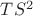 $TS^2$