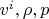 $v^i,\rho,p$