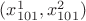 $(x ^1 _{101},x ^2 _{101})$