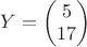 $Y=\begin{pmatrix} 5\\17 \end{pmatrix}$