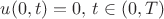 $u(0,t) =0, \, t \in (0,T)$