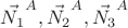 $\vec{N_1}^A, \vec{N_2}^A, \vec{N_3}^A$