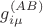 $g^{(AB)}_{i\mu}$