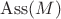 $\mathrm{Ass}(M)$