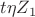 $t\eta Z_1$