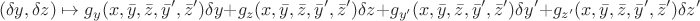 $$(\delta y, \delta z) \mapsto g_{y}(x, \bar y, \bar z, \bar y', \bar z') \delta y+g_{z}(x, \bar y, \bar z, \bar y', \bar z') \delta z+g_{y'}(x, \bar y, \bar z, \bar y', \bar z') \delta y'+g_{z'}(x, \bar y, \bar z, \bar y', \bar z') \delta z'$$