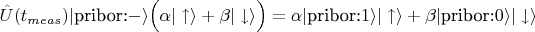 $\hat{U}(t_{meas})\vert \text{pribor:}-\rangle\cross\Big(\alpha\vert\uparrow\rangle+\beta\vert\downarrow\rangle\Big)=\alpha\vert \text{pribor:}1\rangle\cross\vert\uparrow\rangle+\beta\vert \text{pribor:}0\rangle\cross\vert\downarrow\rangle$