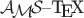 \AmS--\TeX