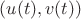 $$(u(t), v(t))$$
