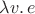 $\lambda v.\,e$