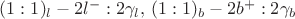 $(1:1)_l - 2l^-:2\gamma_l ,$
$ (1:1)_b - 2b^+: 2\gamma_b$