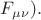 $F_{\mu \nu}).$