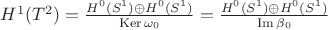 $H^1(T^2) = \frac{H^0(S^1) \oplus H^0(S^1)}{\operatorname{Ker} \omega_0} = \frac{H^0(S^1) \oplus H^0(S^1)}{\operatorname{Im} \beta_0} $