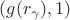 $(g(r_{\gamma}),1)$