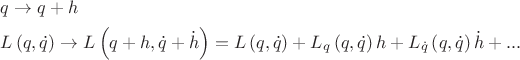 $$\[
\begin{gathered}
  q \to q + h \hfill \\
  L\left( {q,\dot q} \right) \to L\left( {q + h,\dot q + \dot h} \right) = L\left( {q,\dot q} \right) + L_q \left( {q,\dot q} \right)h + L_{\dot q} \left( {q,\dot q} \right)\dot h + ... \hfill \\ 
\end{gathered} 
\]
$$