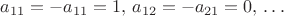 $a_{11}=-a_{11}=1,\,a_{12}=-a_{21}=0,\,\dots$