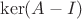 $\ker(A-I)$