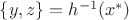 $\{y,z\}=h^{-1}(x^*)$