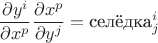 $$ \frac{\partial y^i}{\partial x^p} \frac{\partial x^p}{\partial y^j}  =\text{селёдка}^i_j$$