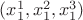 $(x^1_1,x^2_1,x^3_1)$