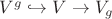 $V^g\hookrightarrow V\rightarrow V_g$ $V^g\hookrightarrow V\rightarrow V_g$