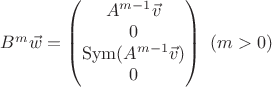 $B^m \vec w=\begin{pmatrix}A^{m-1} \vec v \\ 0 \\ \mathrm{Sym}(A^{m-1} \vec v)\\0 \end{pmatrix}\ (m>0)$