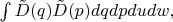 $\int \tilde{D}(q)\tilde{D}(p)dqdpdudw,$