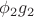 $\phi_2 g_2$