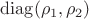 $\mathrm{diag}(\rho_1,\rho_2)$ $\mathrm{diag}(\rho_1,\rho_2)$