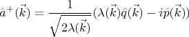 $$\[{{\hat a}^ + }(\vec k) = \frac{1}{{\sqrt {2\lambda (\vec k)} }}(\lambda (\vec k)\hat q(\vec k) - i\hat p(\vec k))\]$$