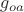 $g_{oa}$