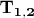 $\mathbf{T_{1,2}}$