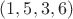 $(1,5,3,6)$