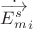 $\dot{\overrightarrow{E_m^s}}_i$