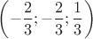 $\left(-\dfrac{2}{3};-\dfrac{2}{3};\dfrac{1}{3}\right)$