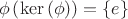 $$\phi\left(\operatorname{ker}\left(\phi\right)\right)=\{e\}$$