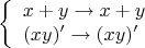 $$
\left\{ \begin{array}{l} 
x+y\to  x+y \\ 
(xy)'\to (xy)'
\end{array} \right.
$$