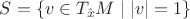 $S = \{v \in T_{\hat x}M \mid |v| = 1\}$