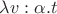 $\lambda v:\alpha.t$