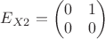 $E_{X2}=\begin{pmatrix} 0 & 1 \\ 0 & 0\\ \end{pmatrix} $