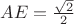 $AE=\frac{\sqrt 2}{2}$ $AE=\frac{\sqrt 2}{2}$