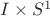 $I\times S^1$