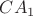 $CA_1$